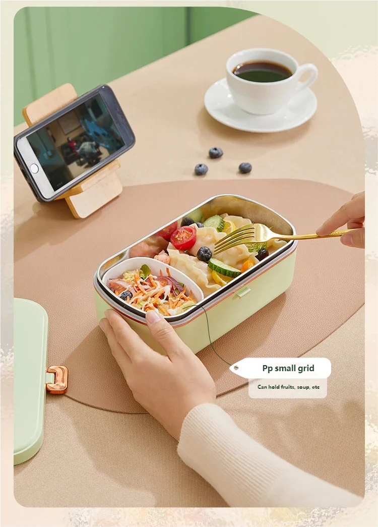 HOMEFISH Stainless Steel Electric Lunch Box Food Warmer Bento Box Water-Free Heating Office Lunch Container with Built-In Heater Beauty World Shop