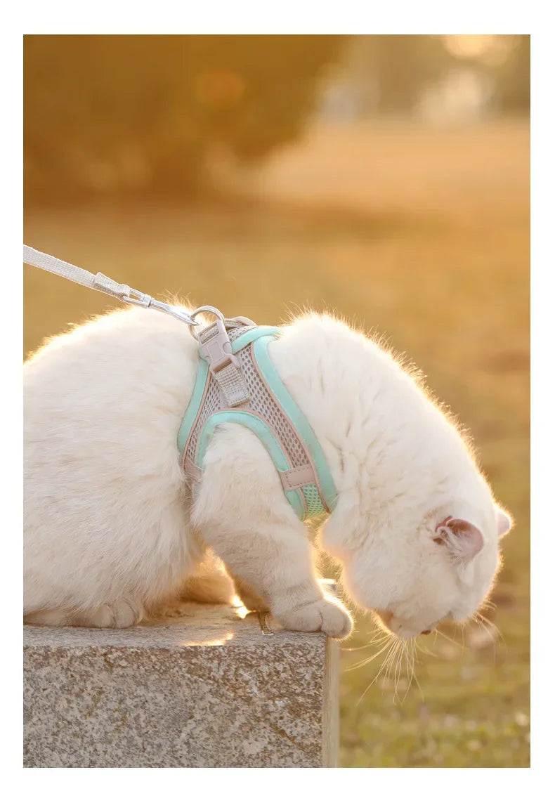 Cats Dog Accessories Small Dog Collar Safety Vest Pet Chest Rope Dogs Cover Breathable Adjustable Harnesses Supplies Products Beauty World Shop