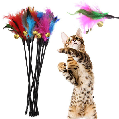 5pcs/set Cat Interactive Wand Colorful Feather Chicken Feather Cat Stick Bell Portable Creative Fashion Novelty Pet Cat Supplies Beauty World Shop