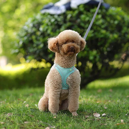 Puppy Harness Set Dog Accessories Adjustable Pet Vest Dogs French Bulldog Chihuahua Small Dog Collar Supplies Products Home Beauty World Shop