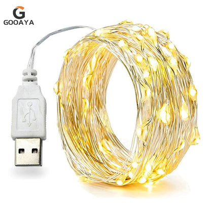 30M 10M Waterproof USB LED Lights String Copper Wire Fairy Garland Light Lamp Christmas Wedding Party Holiday Lighting wreath Beauty World Shop