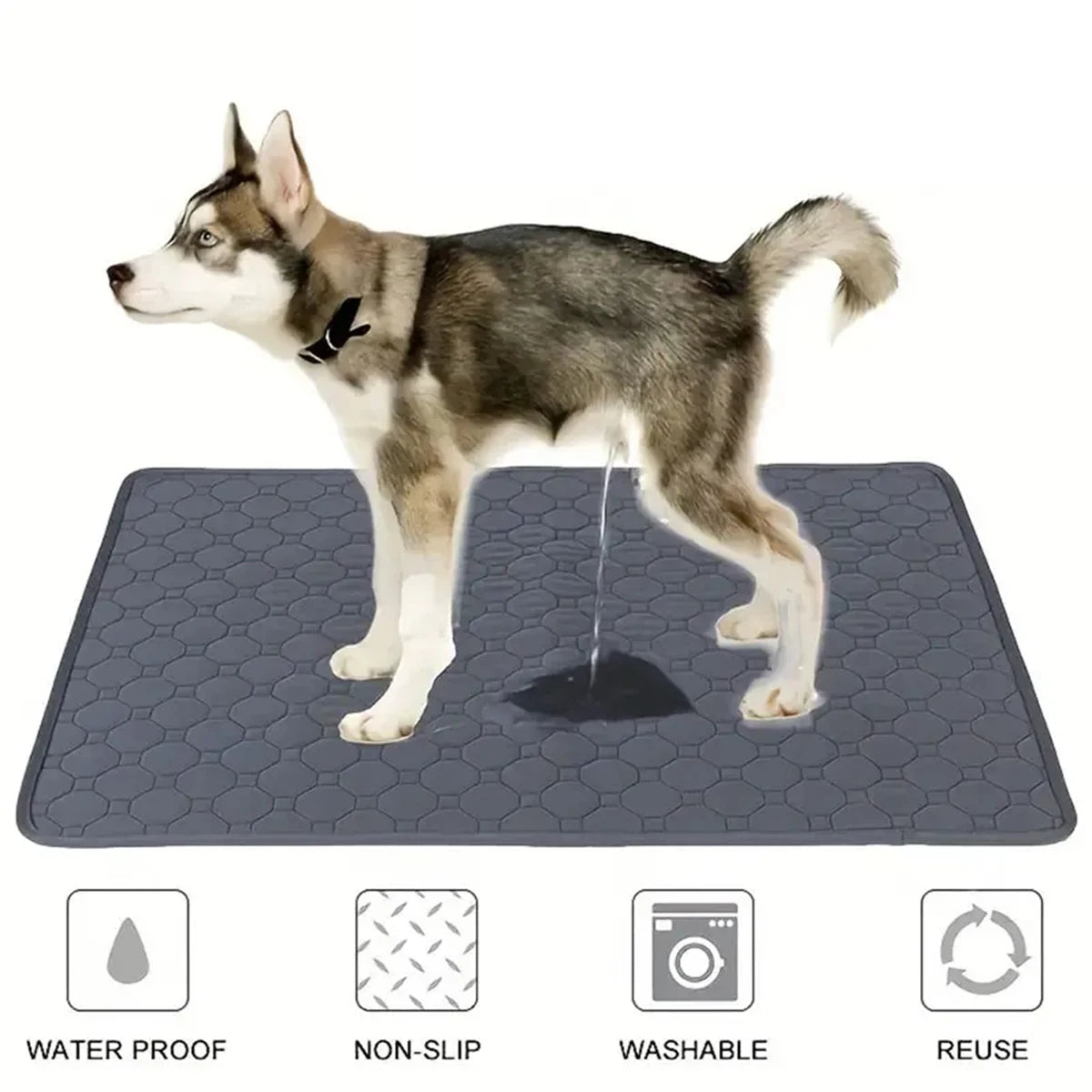 Winter Dog Pee Pad Reusable Washable Dog Urine Mat Car Seat Floor Sofa Waterproof Absorbent Puppy Cat Training Pet Supplies Beauty World Shop