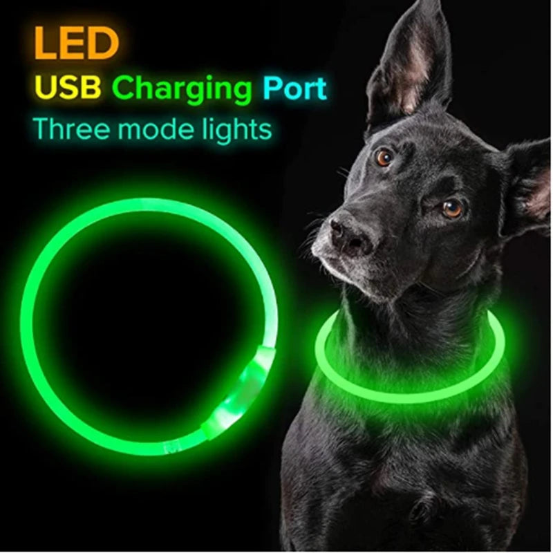 Luminous Dog Collar Light Charge Cat Necklace, Led Fashion Flashing DIY Glowing Safety Collar for Dogs Nighttime Pet Accessorie Beauty World Shop
