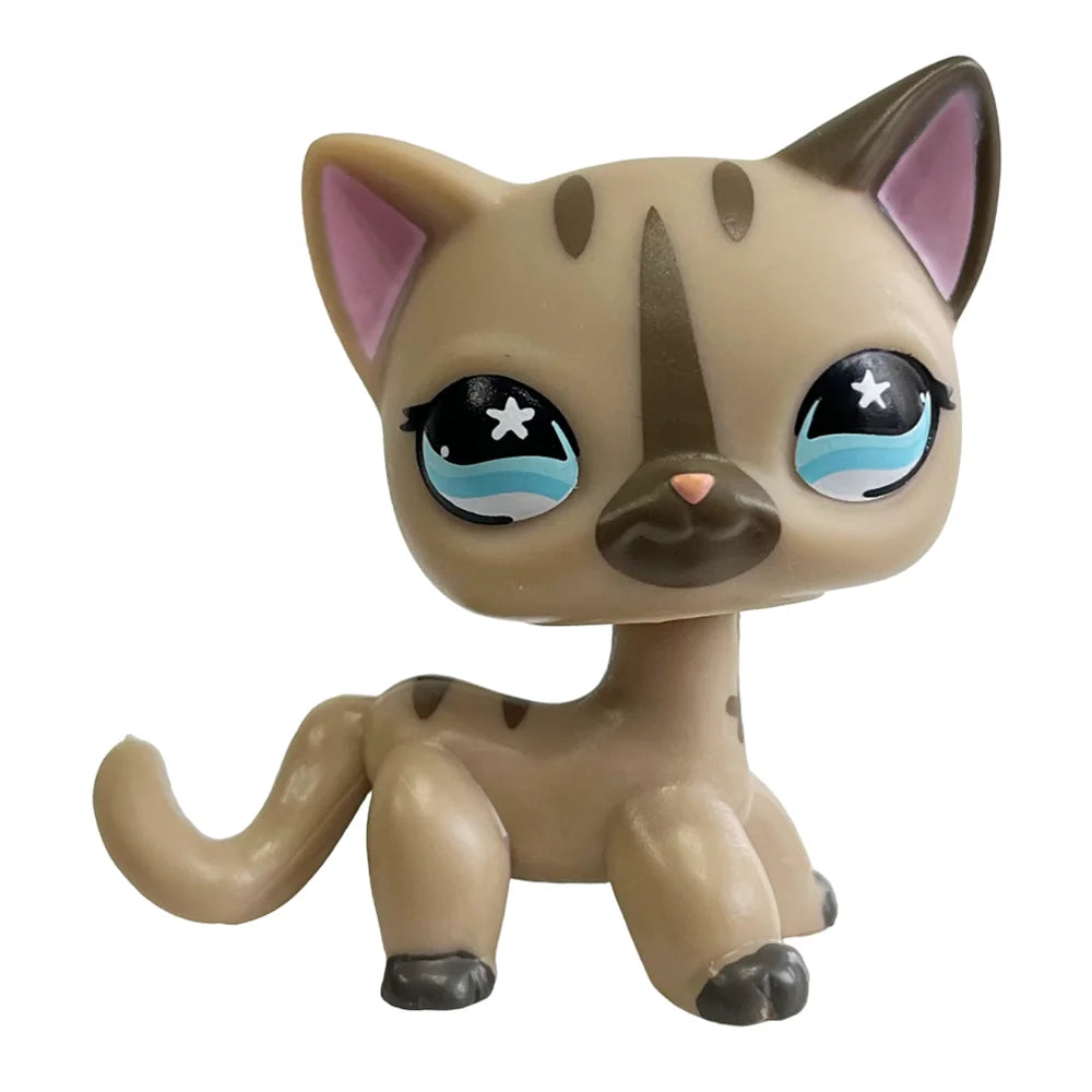 Rare pet toy Stands Short Hair Kitten Dog Dachshund Collie Spaniel Great Dane Original Bobble head toy lps Beauty World Shop