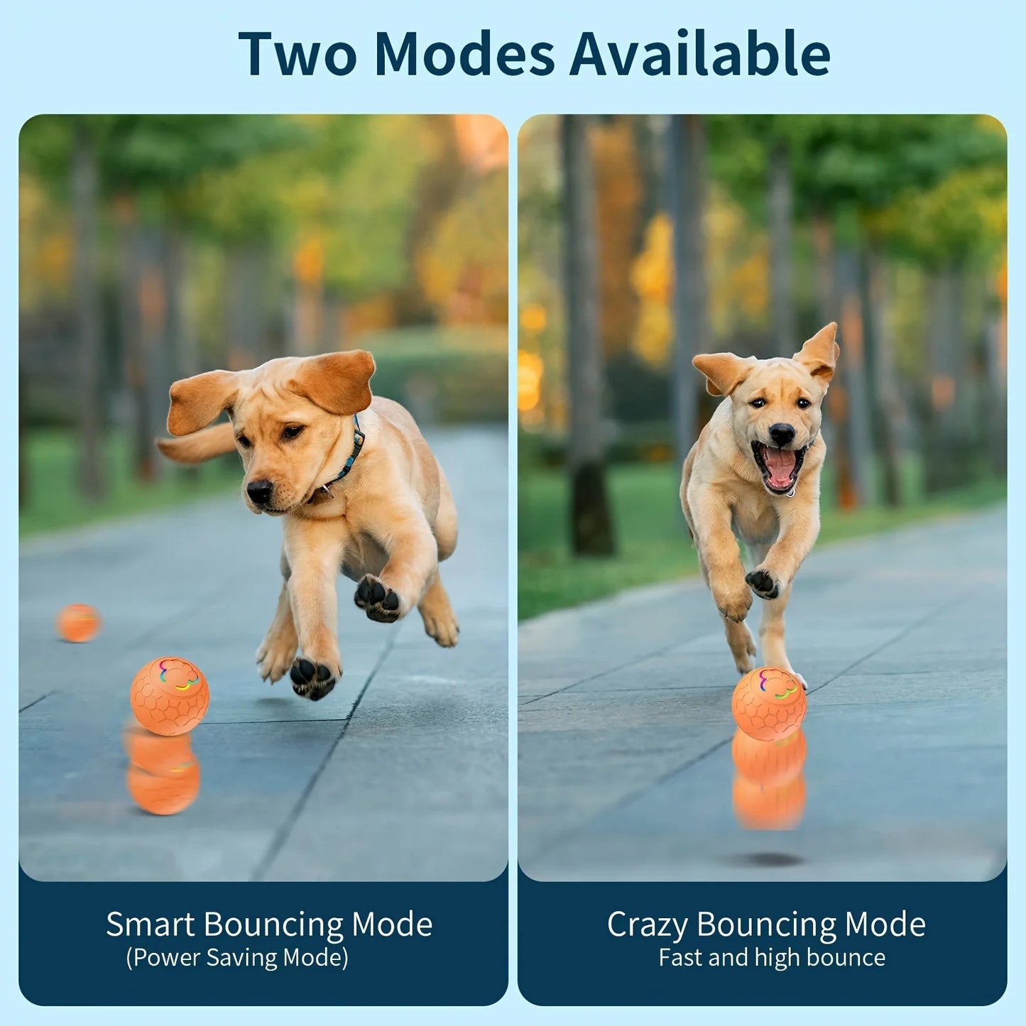 Smart Dog Toy Ball Electronic Interactive Pet Toy Ball USB Automatic Bouncing Rolling Toy Ball With RGB Lights Puppy Cat Product Beauty World Shop