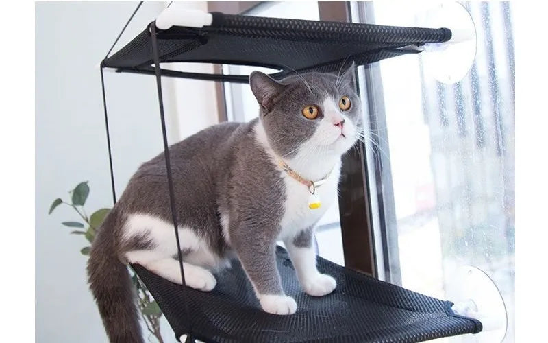 Cat Hammock Window Bed Kitten Sunny Seat Hanging Mount Beds Cat Sofa double-decker tunnels Suction Cup Wall Pet Hanging Winter Beauty World Shop