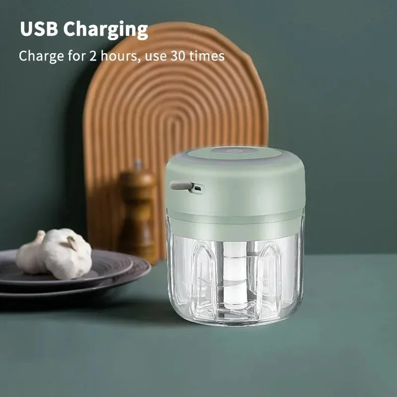 2027 250ml Mini Rechargeable Garlic Chopper Meat Grinder Durable and Sturdy Suitable for Crushing Garlic Chili Onions Minced Mea Beauty World Shop