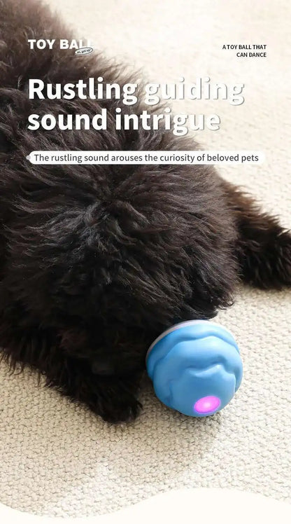 Interactive Dog Toys Smart Rolling Ball With Rope Motion Activated Automatic Moving Squeaky Dog Training Puppy Chew Toy Balls Beauty World Shop