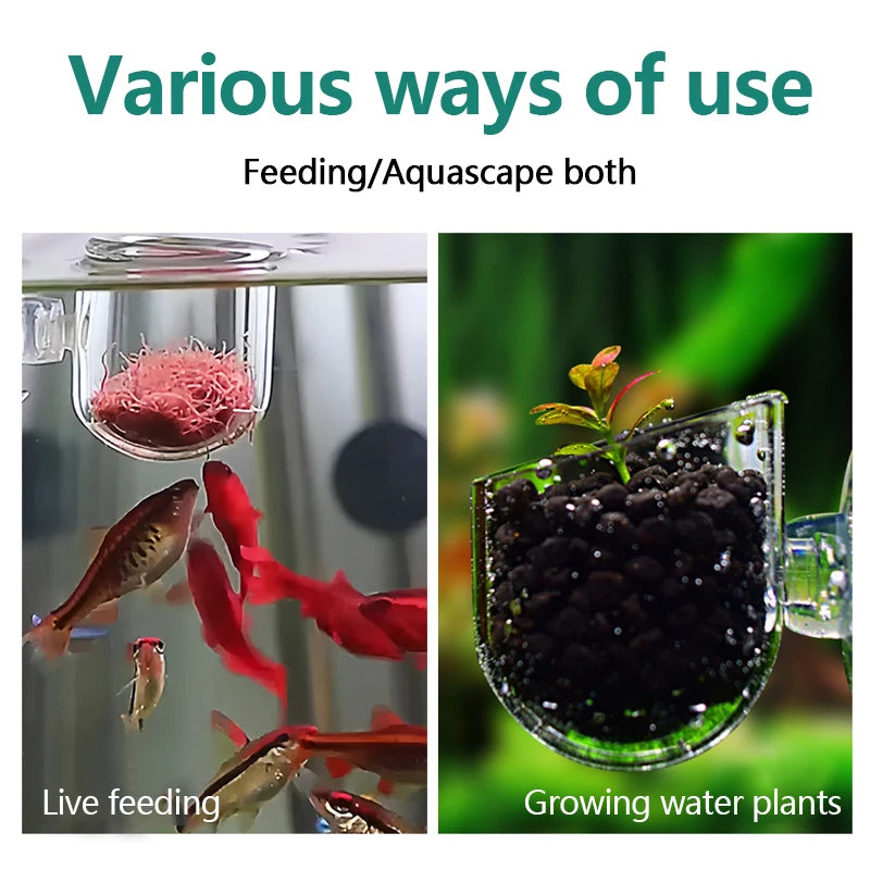 Aquarium Decoration Plant Cup Pot Acrylic Aquatic Plant Cup With Suction Holder Planting Cylinder Cup Aquarium Decoration tool Beauty World Shop