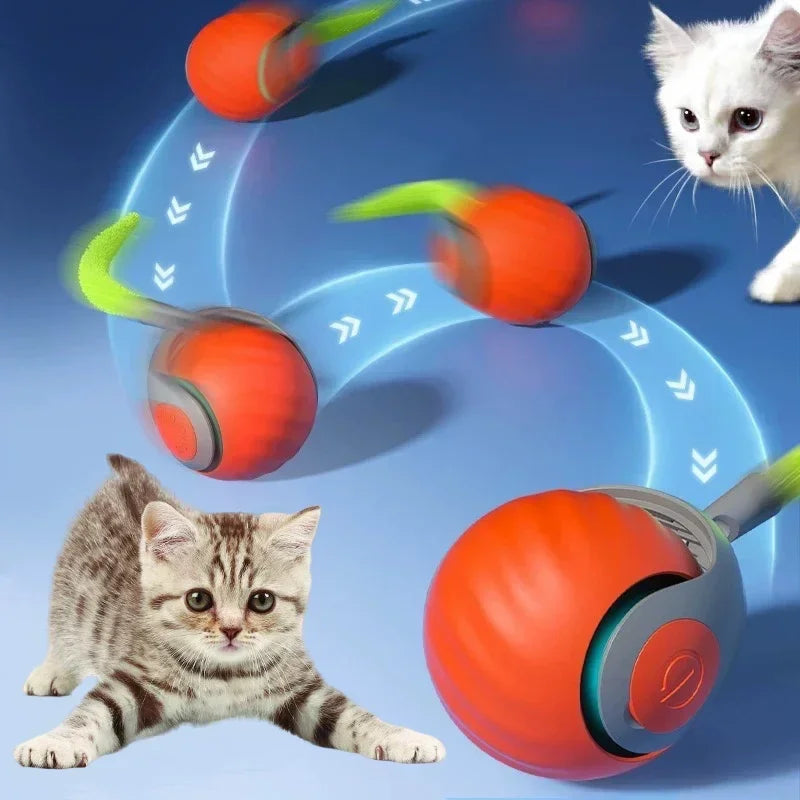 Smart Cats Toy Ball Electric Ball for Cats With Feather Teaser Intelligent Automatic Movement Active Scrolling Pet Toys Supplies Beauty World Shop