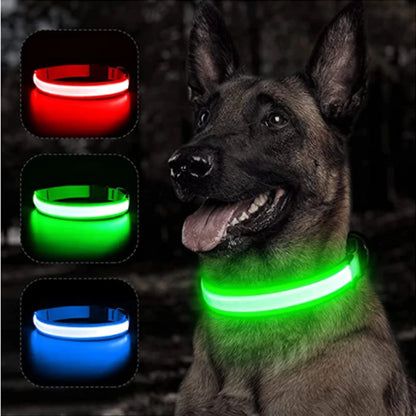 Usb Charging Glowing Dog Collar With Pendant Detachable Luxury Led Light Bright For Small Dogs Cat Night Safety Collar Wholesale Beauty World Shop