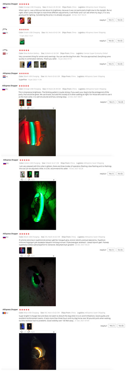Usb Charging Glowing Dog Collar With Pendant Detachable Luxury Led Light Bright For Small Dogs Cat Night Safety Collar Wholesale Beauty World Shop