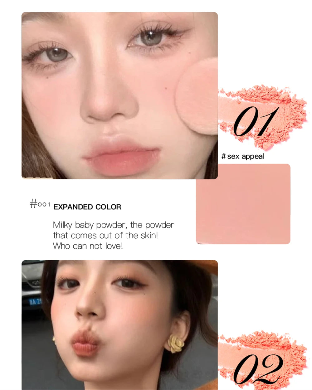 Monochrome Matte Blusher Palette Soft Silky Cheek Natural Facial Rouge Plate Lasting Nude Low Saturation Powder Blusher Disk Beauty World Shop