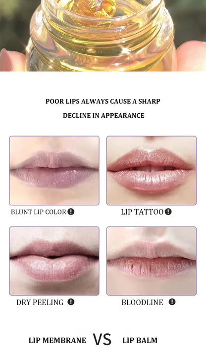 Transparent Honey Pot Lip Mask Moisturizes, Moisturizes, Lightens Lip Lines, Sleep Lip Mask, and Lip Care Beauty Trend Shop