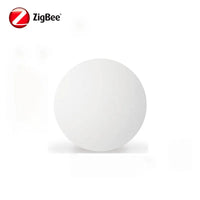 1Pcs Zigbee