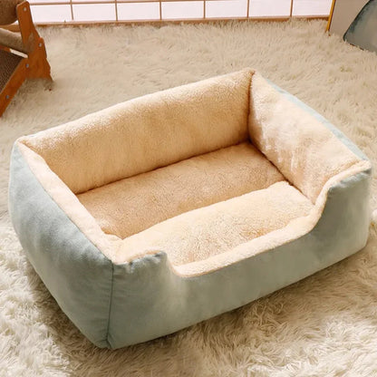 Bed for Cats Pet Products Cushions Kitten Goods Accessories Dog All Home Supplies Things Accessory Habitats Basket House Beds Beauty World Shop