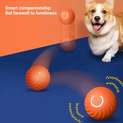 Dog Toy Ball Automatic Moving Bouncing Rolling Ball USB Smart puppy Interactive Dog Chew Toy Ball Beauty World Shop