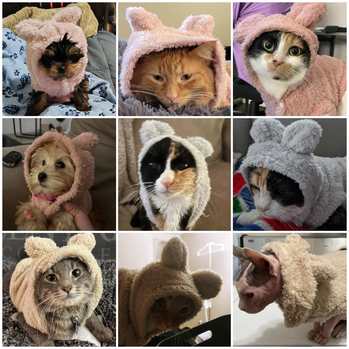 Autumn Winter Cat Clothes Soft Warm Cute Kitten Sweater Pet Fleece Costume For Small Medium Dogs Cats Kitty Sphynx Hoodies Coat Beauty World Shop