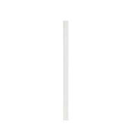 Straw (1pc)