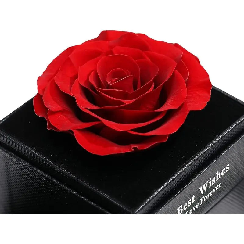  Necklace - Luxurious Rose Gift Box, Perfect for Valentine's Day, Mother's Day, Anniversary, Birthday, and Any Special Occasion  Beauty World Shop