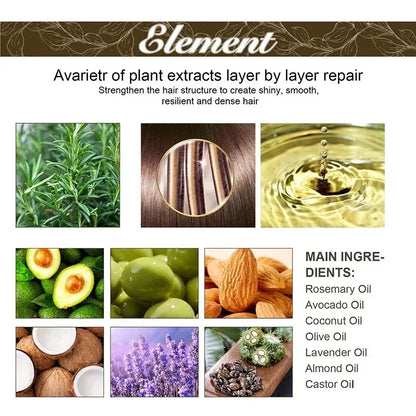 1/2/3pcs Natural Hair Growth Oil Rosemary Anti Hair Loss Regrowth Moisturizing Repair Anti Baldness Fast Hair Growth Serum Oil Beauty World Shop