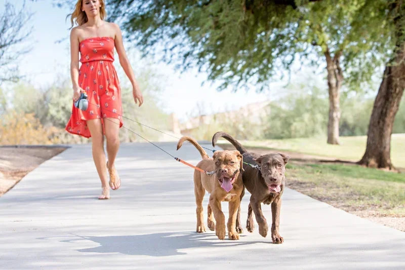 Automatic Retractable Two-End Pet Leash Dog Leash With Flashlight One Tow Two Easy To Walk Your Dog