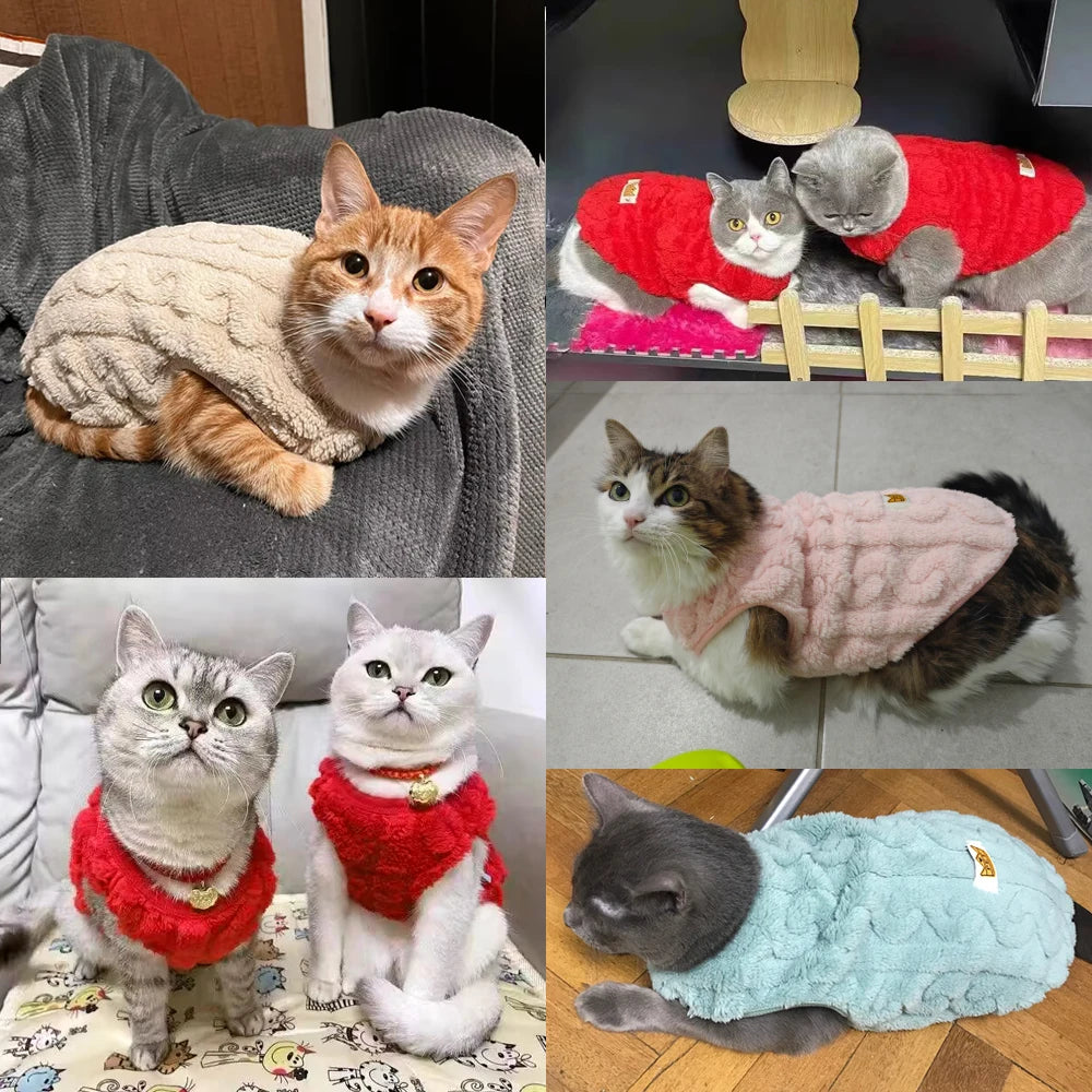 Soft Cozy Cat Clothes Autumn Winter Warm Fleece Sweatshirt for Small Dogs Puppy Kitten Jacket Coat Pet Sphynx Costume Sweater Beauty World Shop