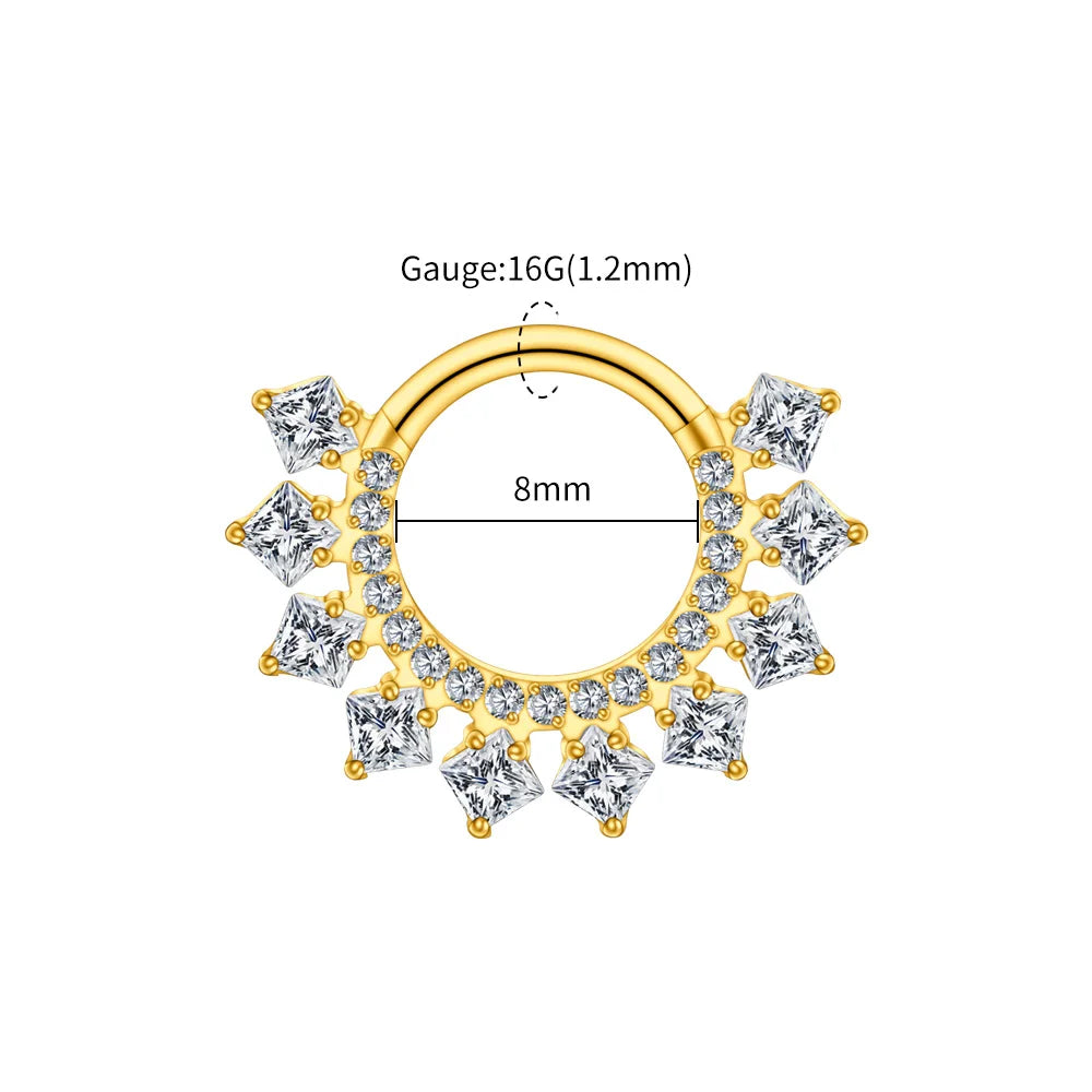 Right Grand ASTM F136 Titanium 16G CZ Hinged Clicker Segment Hoop Ring 8mm/10mm Daith Helix Earring Septum Nose Piercing Jewelry Beauty World Shop