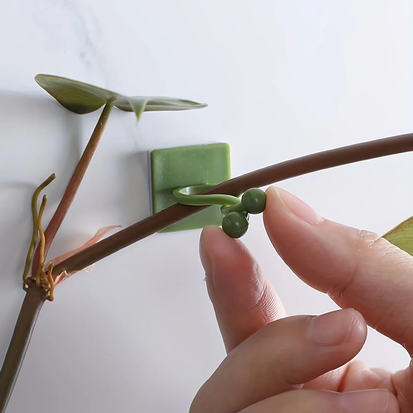 10/20pcs-Plant Fixator Wall Mounted Universal Hook Used for Hanging Baskets Climbing Vines Plant Home Garden Accessories Beauty World Shop