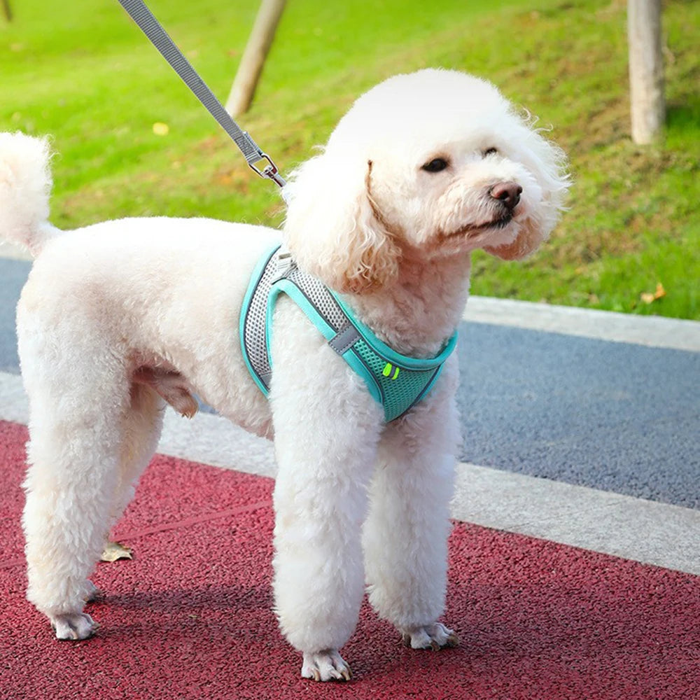 Cat Dog Harness Vest Chest Rope Set Reflective Breathable Adjustable Pet Harness for Small Medium Dogs Outdoor Walking Beauty World Shop
