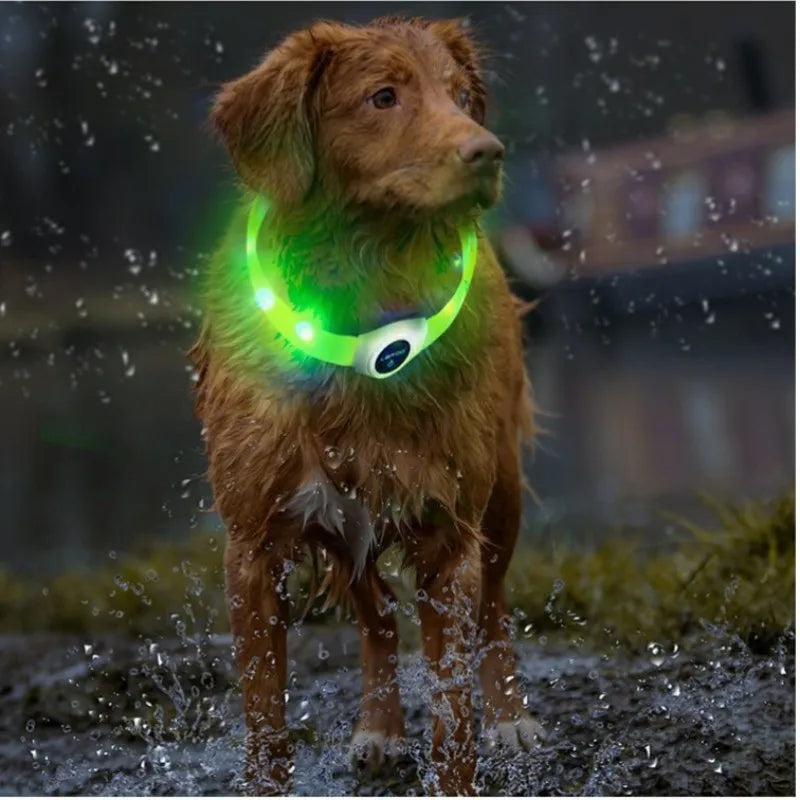 New Led Luminous Dog Collar PVC Waterproof , For Large Medium Small Dogs Collar Usb Light Night Safety Pet Glowing Accessories Beauty World Shop