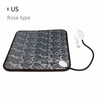 Rose pattern US plug
