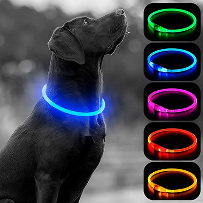 Luminous Dog Collar Light Charge Cat Necklace, Led Fashion Flashing DIY Glowing Safety Collar for Dogs Nighttime Pet Accessorie Beauty World Shop