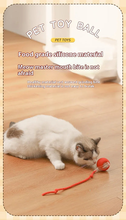 1~2Pcs Cat Interactive Ball Toys Automatic Rolling Ball Faux Tail Rechargeable Smart Pet Electric Toy Cat Training Imitate Mouse