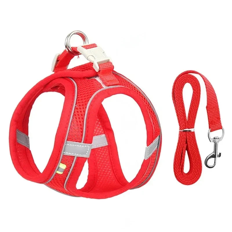 Cats Dog Accessories Small Dog Collar Safety Vest Pet Chest Rope Dogs Cover Breathable Adjustable Harnesses Supplies Products Beauty World Shop
