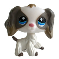 Spaniel 2254