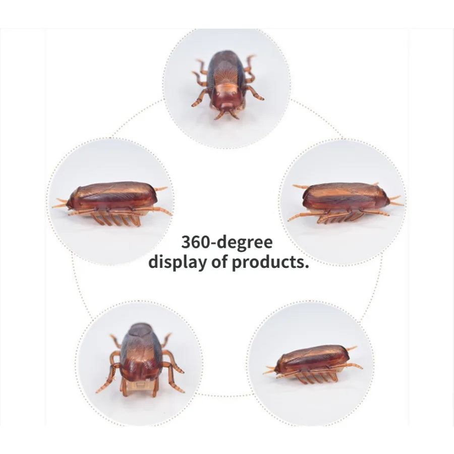 Funny Simulation of Cockroaches Pet Cat Dog Kitten Interactive Training Play Toy Beauty World Shop