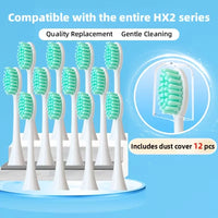 12pcs