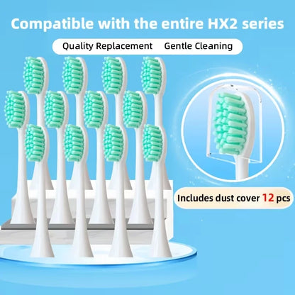 Replacement Toothbrush Head For Philips HX2033/HX2421/ HX2431/HX2451/HX2461/HX2471/HX2023 With Cover Brush Head Free Shipping Beauty World Shop