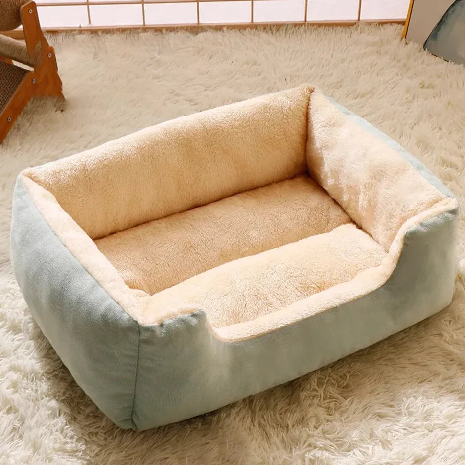 Bed for Cats Pet Products Cushions Kitten Goods Accessories Dog All Home Supplies Things Accessory Habitats Basket House Beds Beauty World Shop