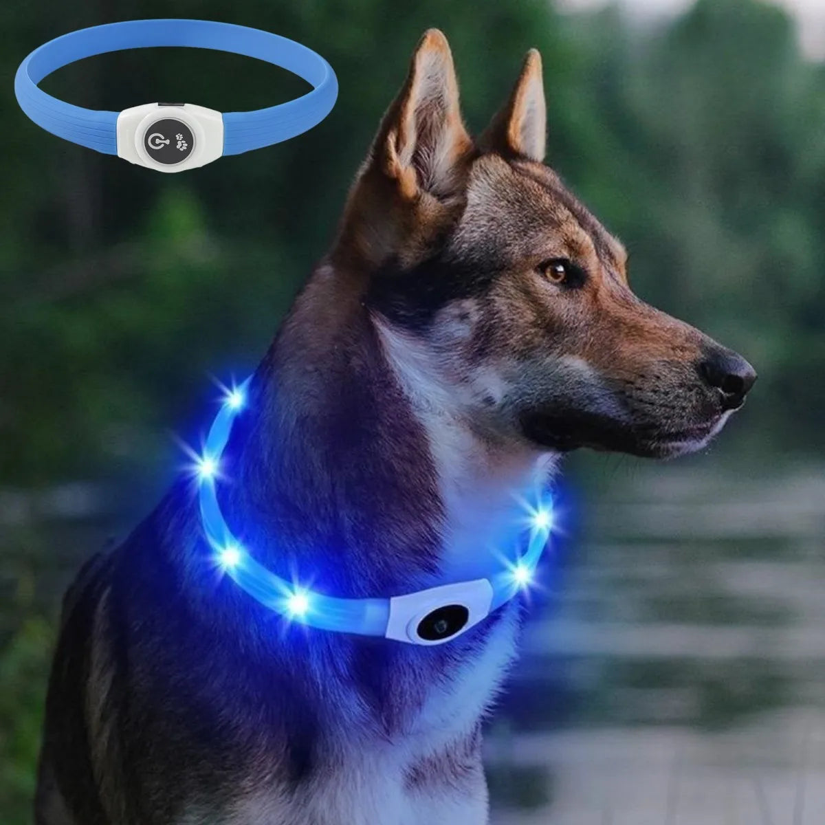 New Led Luminous Dog Collar PVC Waterproof , For Large Medium Small Dogs Collar Usb Light Night Safety Pet Glowing Accessories Beauty World Shop