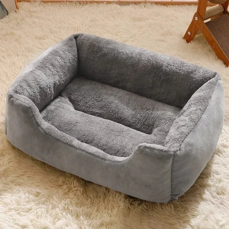 Bed for Cats Pet Products Cushions Kitten Goods Accessories Dog All Home Supplies Things Accessory Habitats Basket House Beds Beauty World Shop