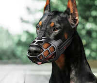 for 25-35KG Dog