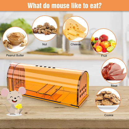 1Pc Mouse Trap Cage No Kill Animal Pet Control Cage Reusable Mice Rodent Catcher Rat Trap Beauty World Shop