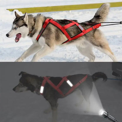 Dog Outdoor Sled Chest Strap Dog Weight Training Traction Strap Husky Samo Snowboard Traction Rope