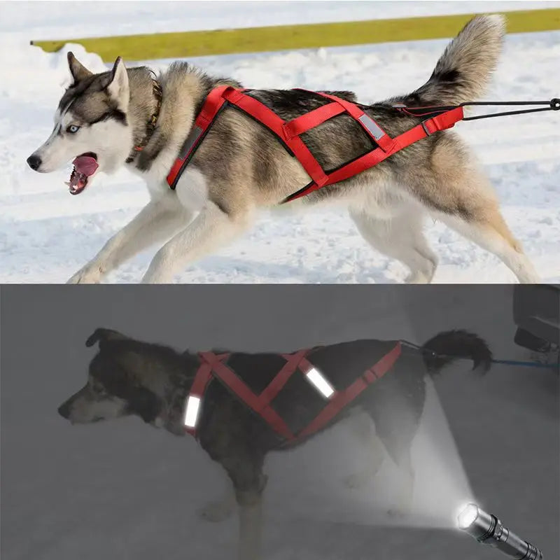 Dog Outdoor Sled Chest Strap Dog Weight Training Traction Strap Husky Samo Snowboard Traction Rope