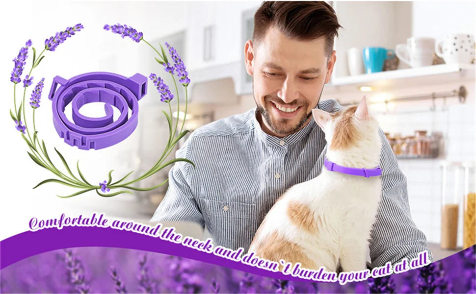 Pet Calming Collar For Cats Dogs Adjustable Anxiety Pheromone Reducing Pet Collar Lasting Natural Calm Relax Soothing Collars Beauty World Shop