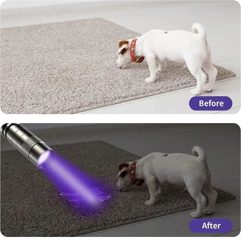 UV Flashlight 395nm Ultraviolet Torch With Pen Clip Portable AAA Batteries Used Violet Light Pet Urine Scorpion Detector UV Lamp Beauty World Shop