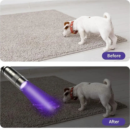 UV Flashlight 395nm Ultraviolet Torch With Pen Clip Portable AAA Batteries Used Violet Light Pet Urine Scorpion Detector UV Lamp Beauty World Shop