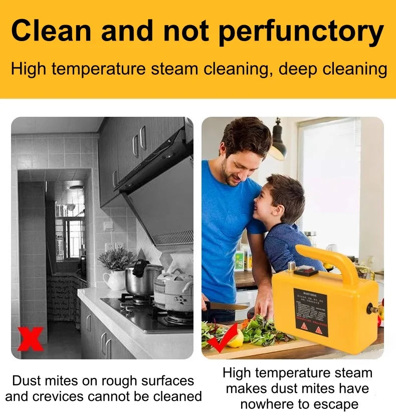 2600w220V High Temperature Steam Cleaner Portable Sterilization Pressure Jet Washer Machine for Home Car Kitchen Air Conditioner Beauty World Shop